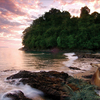 986-jungle_shoreline_sunset_thumb
