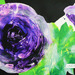 Bloom__-_2008_lorez_square