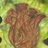 Tylulia_thumb