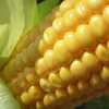 Spacer_2008_074_thumb