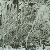 Untitled_2_thumb