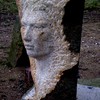 Hhhlava_thumb