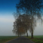 Img_0962_card