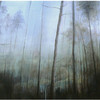 The_whisper_of_trees_ii_thumb