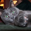 Kitty_2_055_thumb