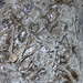 Dscn1128_square