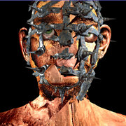 Head-8-test_card
