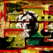 Beast_card