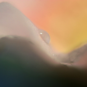 Wave2_card
