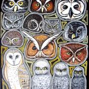 Hiboux_card
