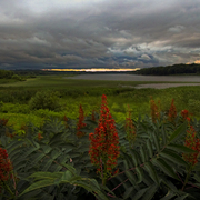 Dpc_prints_version_-_rain_over_the_mohawk_x2532_final_print-fs_glossy_2-1_card