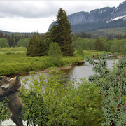 987-last_tango_in_alaska_card