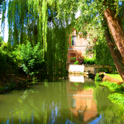 Monet_gardens_card