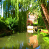 Monet_gardens_thumb