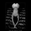 Skin_and_fur_8982_thumb