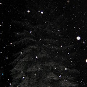 Picture_022_card
