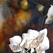 White_orchids_2008