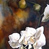 White_orchids_2008
