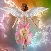 El_angel_de_las_flores_card
