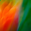 20040430-abstracts-20507-fs-glossy-1-2usmmc_gallerywrap15x20extended16