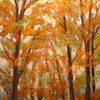 Automn_leaves_thumb
