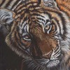 Paint-me-protect-us-11x14_thumb