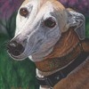 At-the-dogwood-park-nocr_thumb