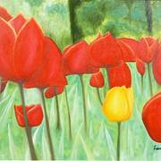 Campo_tulipas_card