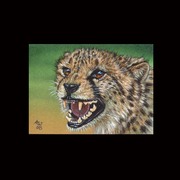 Aceo-cheetah-10_card