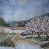Almendros__belgida_thumb