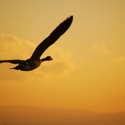Dsc_0114_card