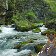 992-tropical_rapids_card