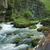 992-tropical_rapids_tiny_square