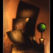 Woods_card