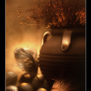 Pot_card