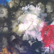 Jardin_parallele_card