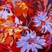 Bulaklak_002_square