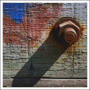 Bullone_card