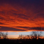 Dsc_0137orange_sunset_ii_card