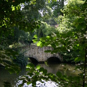 Picture_010_card