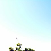 1222222_card