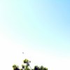 1222222_thumb