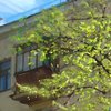 53545435-3-fragvent-1_thumb