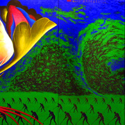 Pheonix_soaring_card