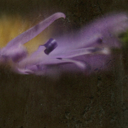 Hook2_card