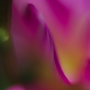 Newone_card