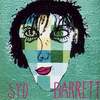 Syd_barrett_gross_thumb