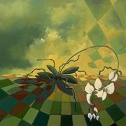 Orchidee_800_card