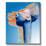 Assobio_shadow_card