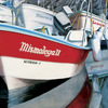 Mismaloya_ii_thumb